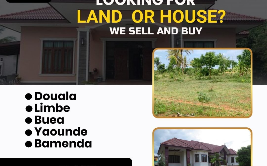 Katika Redefining The Real Estate Industry In Cameroon.